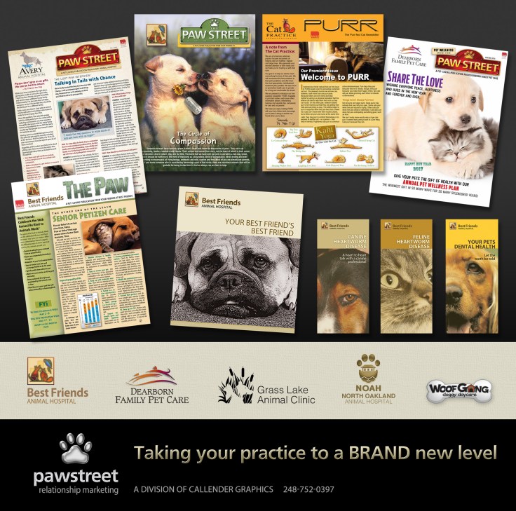 Paw-Brand-Services-Ver-2-web